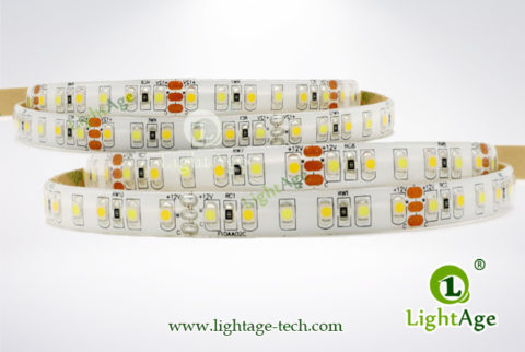 LightAge LED Strip 3528 CW+WW TriColor Strip 02