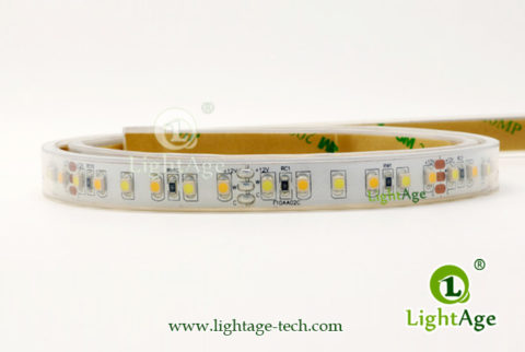 LightAge LED Strip 3528 CW+WW TriColor Strip 03