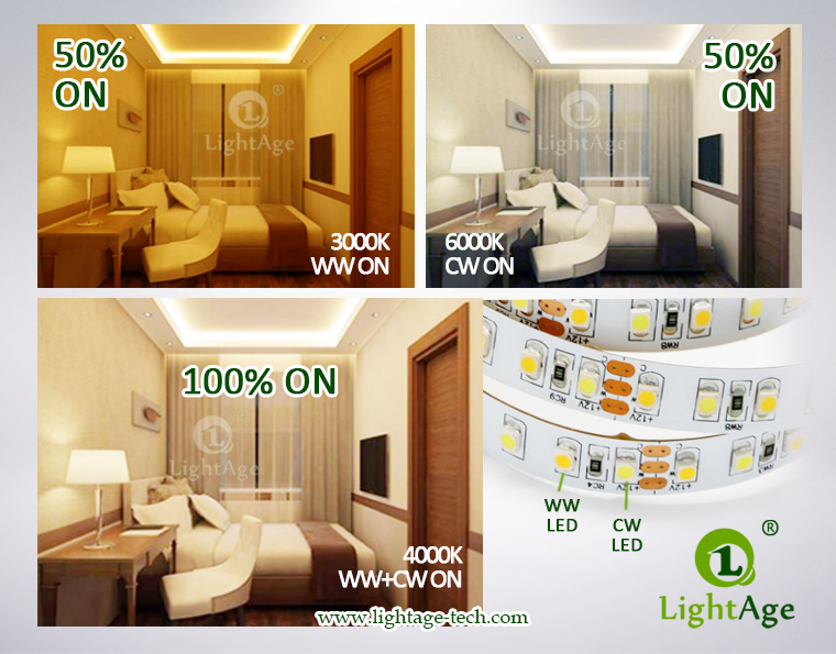 LightAge LED Strip 3528 CW+WW TriColor Strip Colors